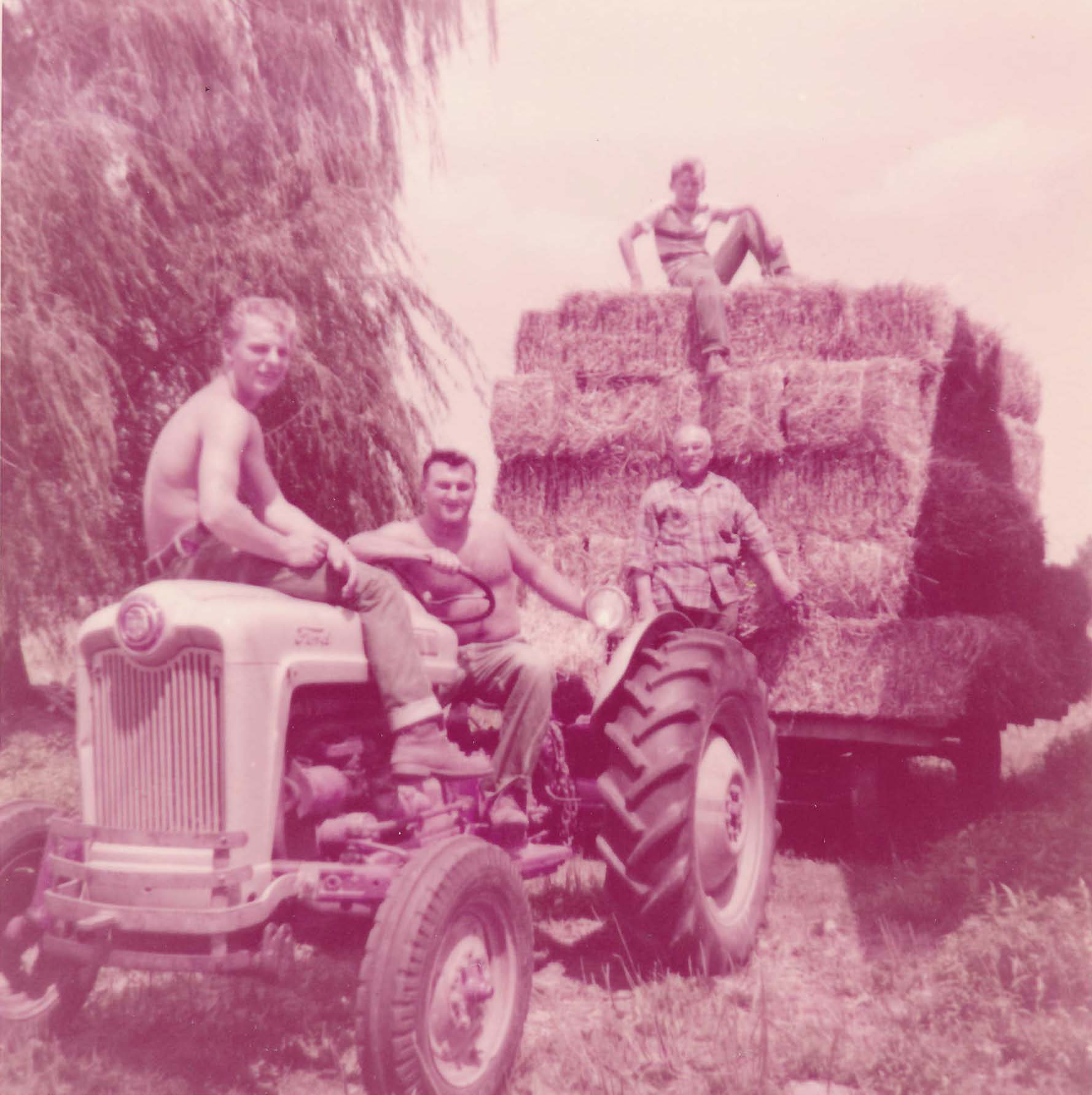 Farm-1950sPicture