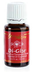 Di-Gize